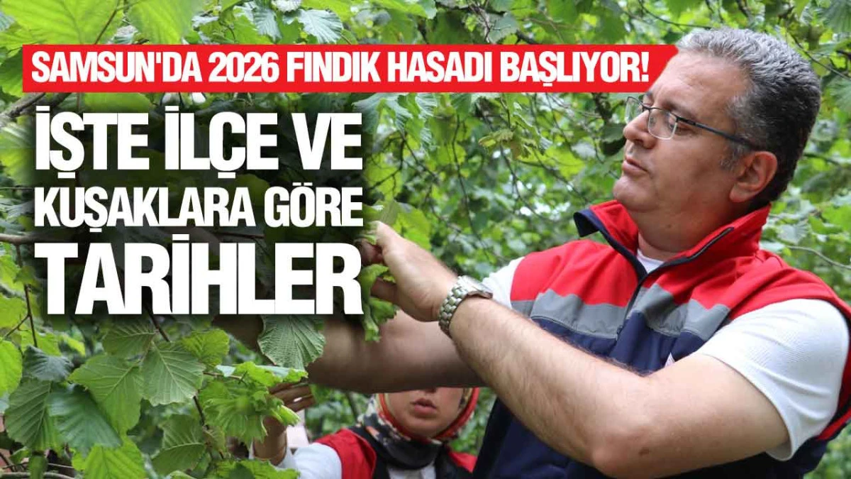 2026 Samsun Fındık Hasat Takvimi A&ccedil;ıklandı: &Uuml;reticiler Bu Tarihlere Dikkat