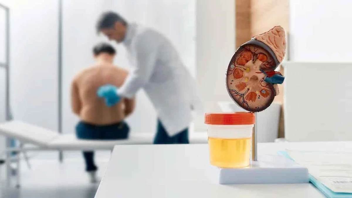 Böbrek Hastaları Yaz Aylarında Nelere Dikkat Etmeli? Uzmanlardan Önemli Tavsiyeler