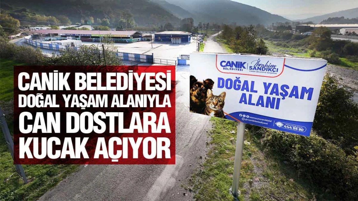 Canik Belediyesi Doğal Yaşam Alanıyla Can Dostlara Kucak A&ccedil;ıyor