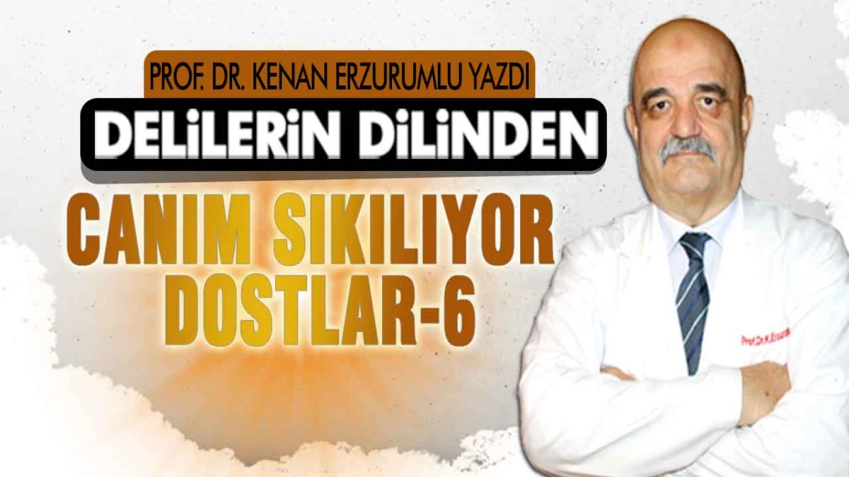 Canım Sıkılıyor, Dostlar! 6