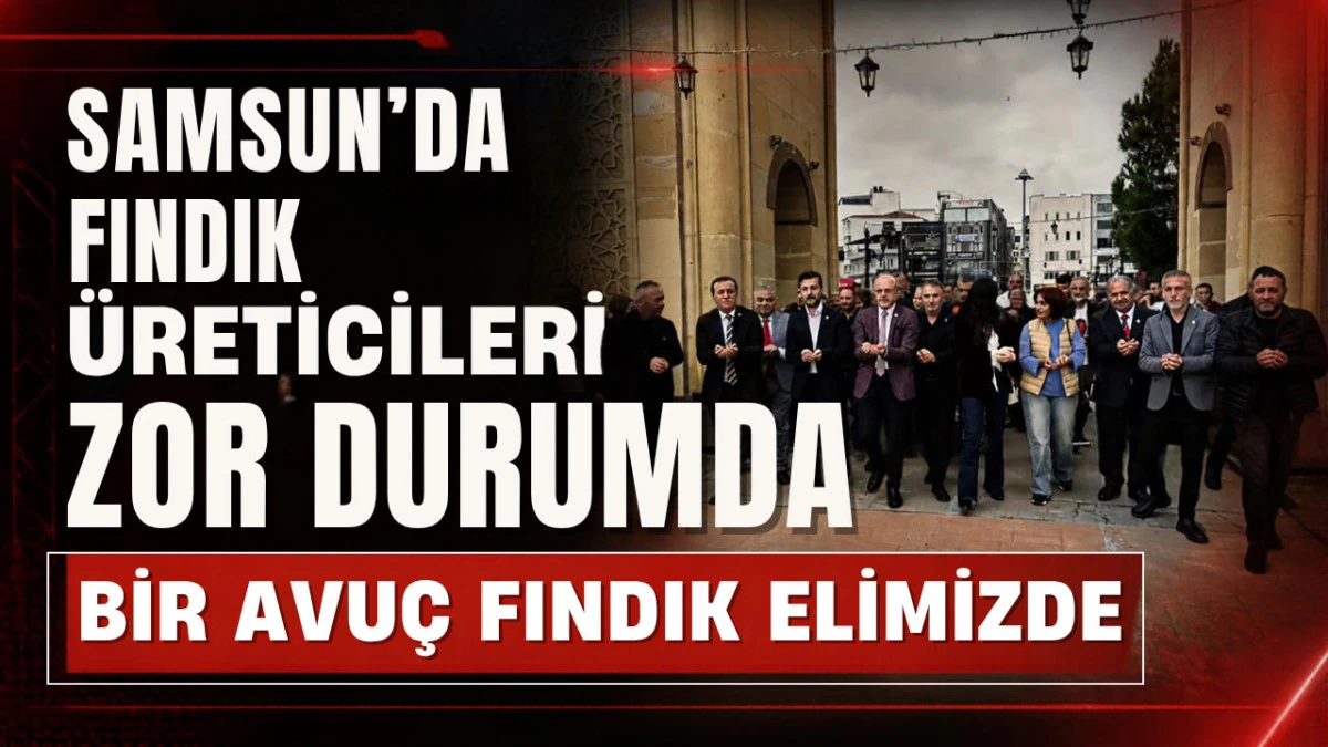 &Ccedil;arşamba&rsquo;da fındık i&ccedil;in kritik mesaj: &Uuml;retici emeğinin karşılığını alamıyor