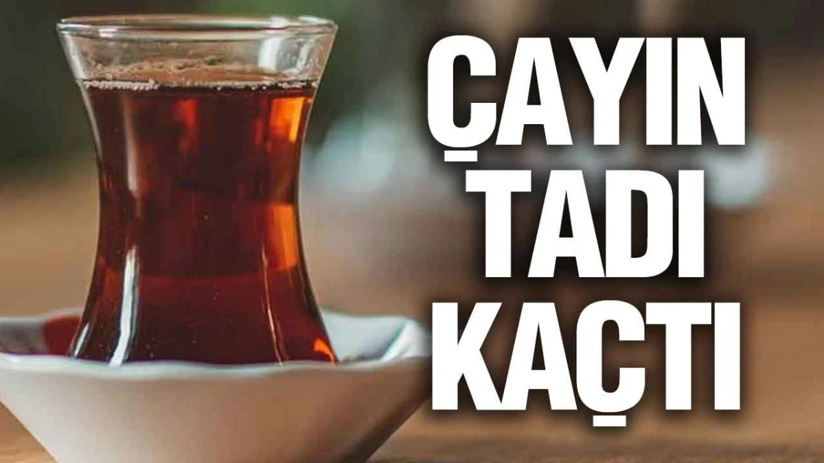 &Ccedil;aya Zam Geldi