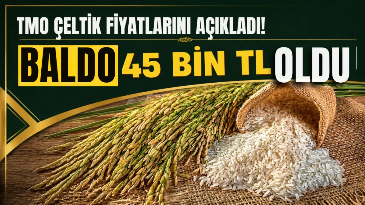 &Ccedil;eltik &Uuml;reticisinin G&ouml;z&uuml; Bu Fiyatlardaydı! TMO Rakamları A&ccedil;ıkladı