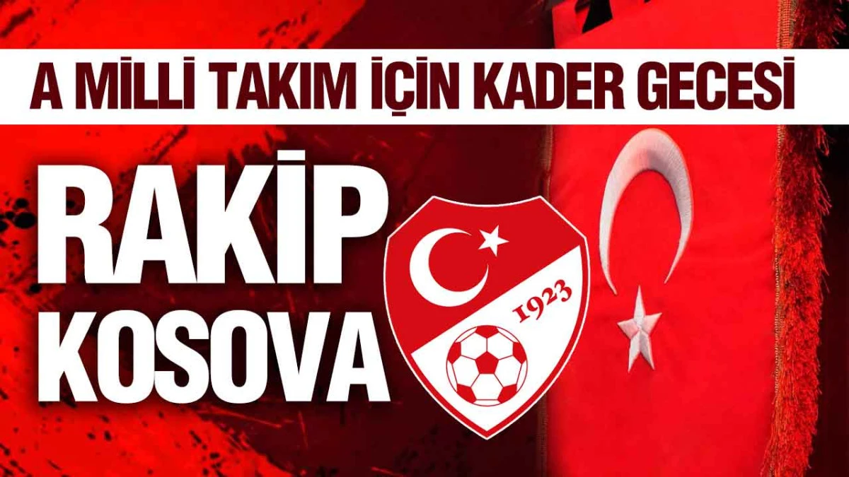 D&uuml;nya Kupası Yolunda Son Viraj, T&uuml;rkiye Kosova Deplasmanında