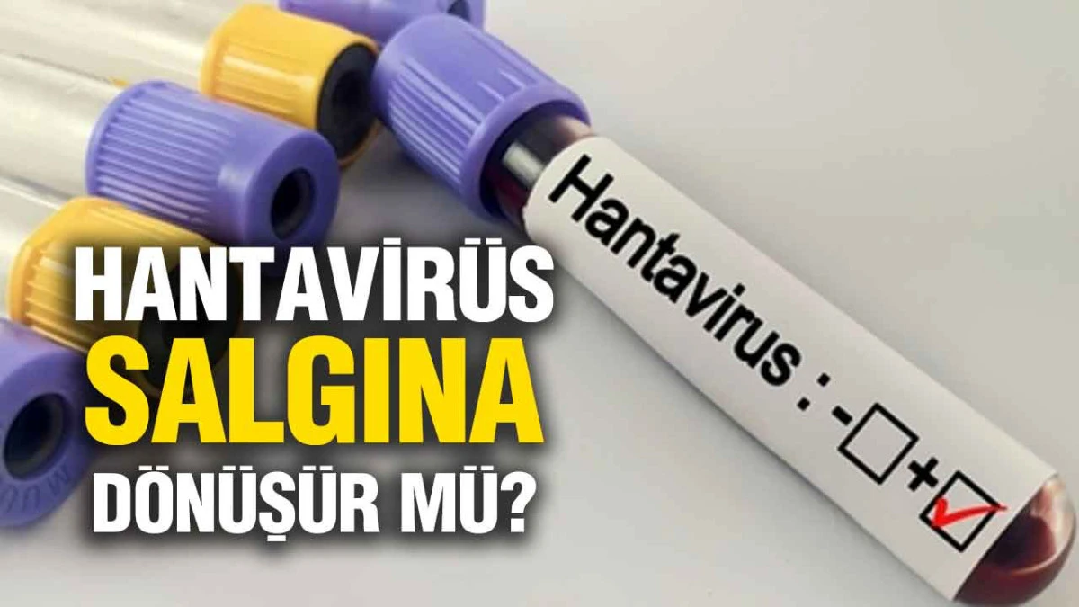 Hantavir&uuml;s Bir Salgına D&ouml;n&uuml;ş&uuml;r M&uuml;?