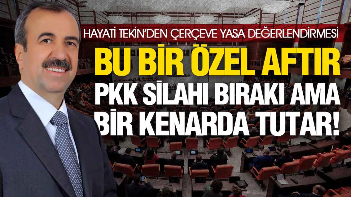 Hayati Tekin: &lsquo;PKK Silahı Ge&ccedil;ici Olarak Bırakır&rsquo;