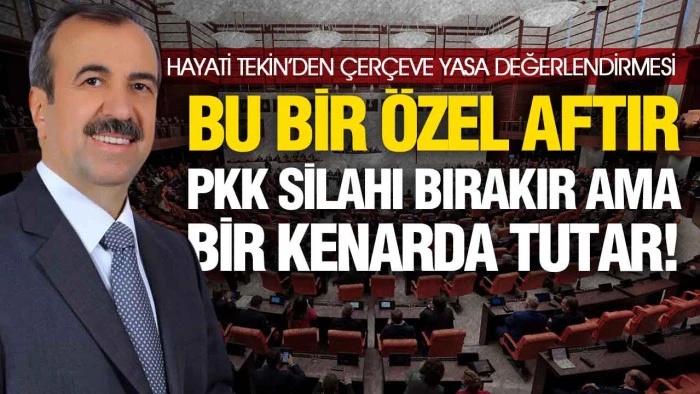 Hayati Tekin: &lsquo;PKK Silahı Ge&ccedil;ici Olarak Bırakır&rsquo;