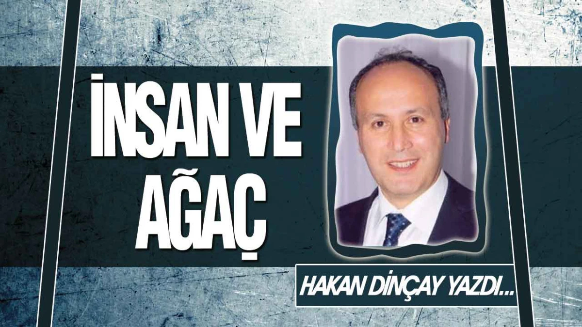 İnsan ve Ağa&ccedil;