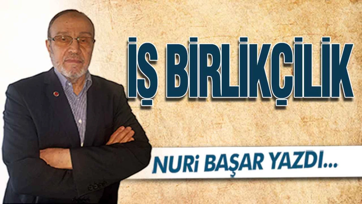 İş Birlikçilik