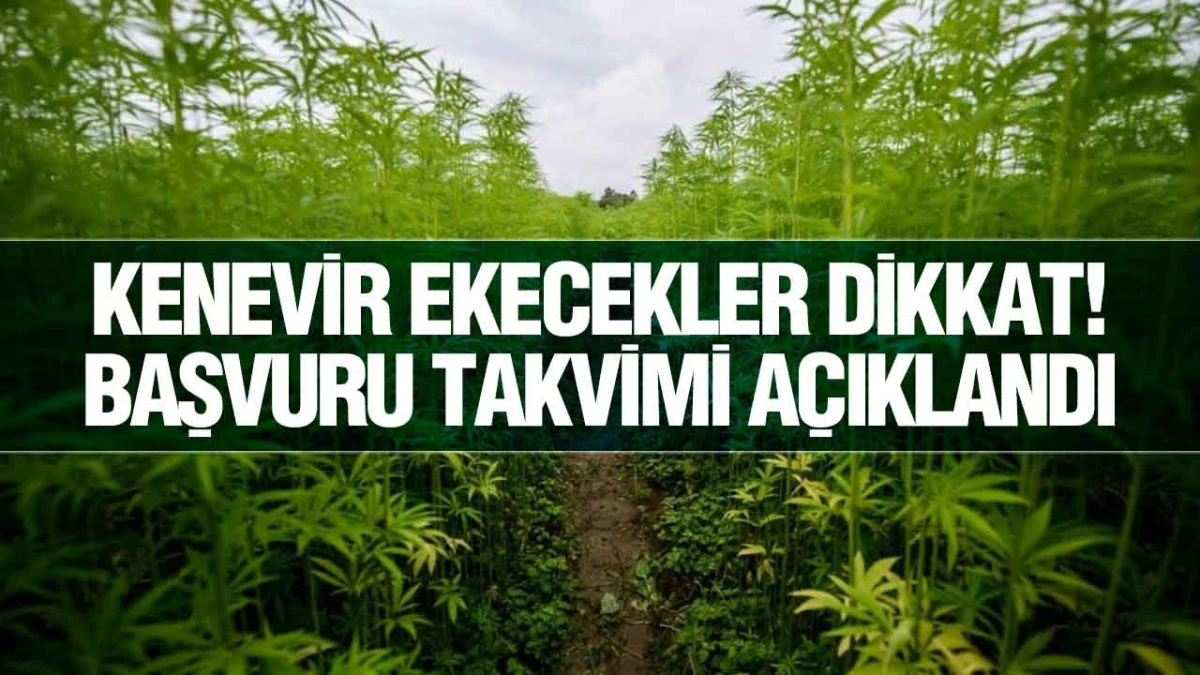 Kenevir &Uuml;reticilerine Uyarı, Son Başvuru Tarihi 1 Nisan 2026