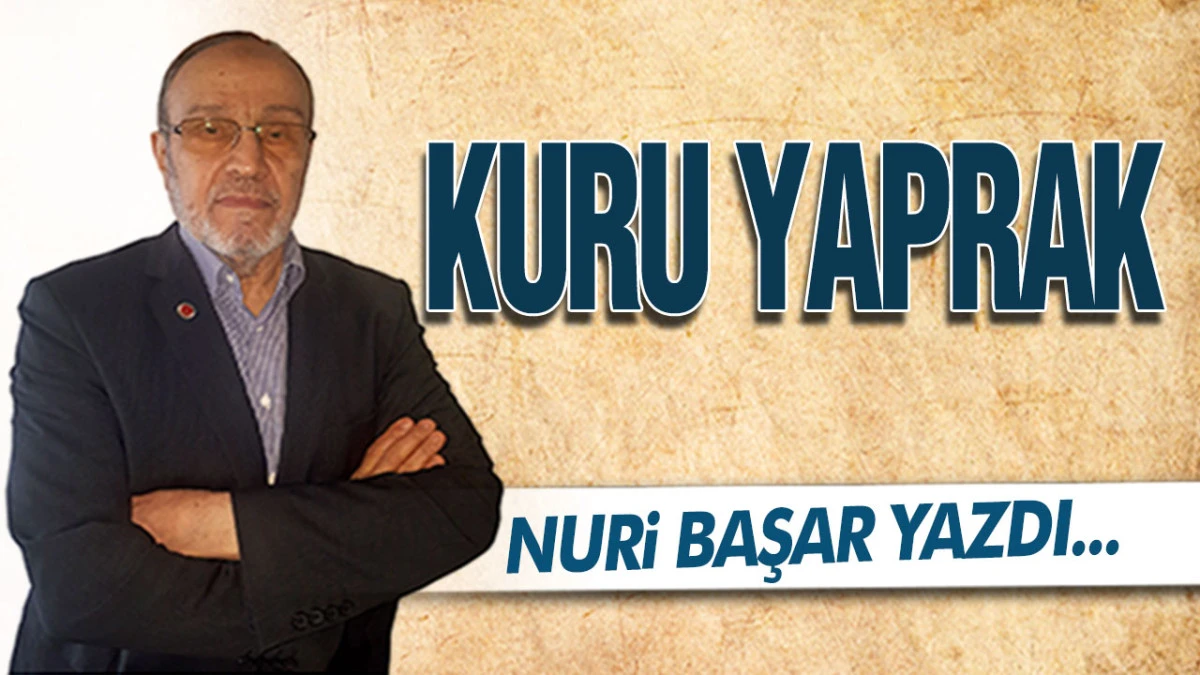 Kuru Yaprak