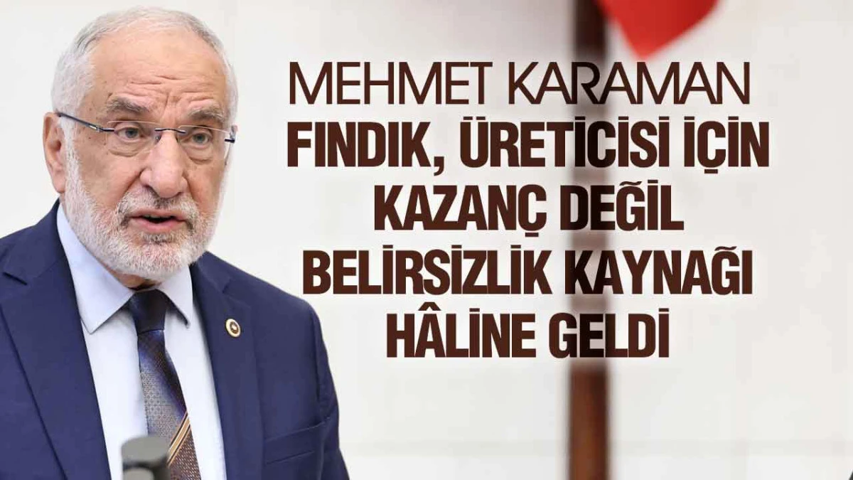 Mehmet Karaman&rsquo;dan Fındık &Ccedil;ağrısı