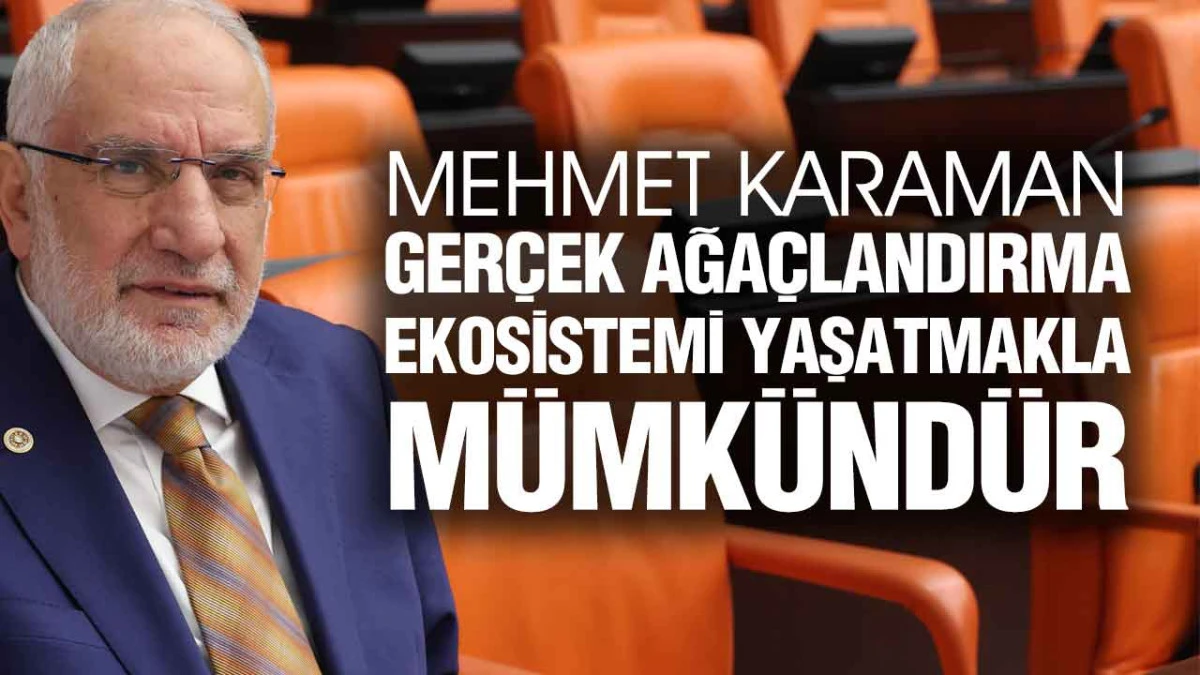 Mehmet Karaman’dan Milli Ağaçlandırma Günü Açıklaması