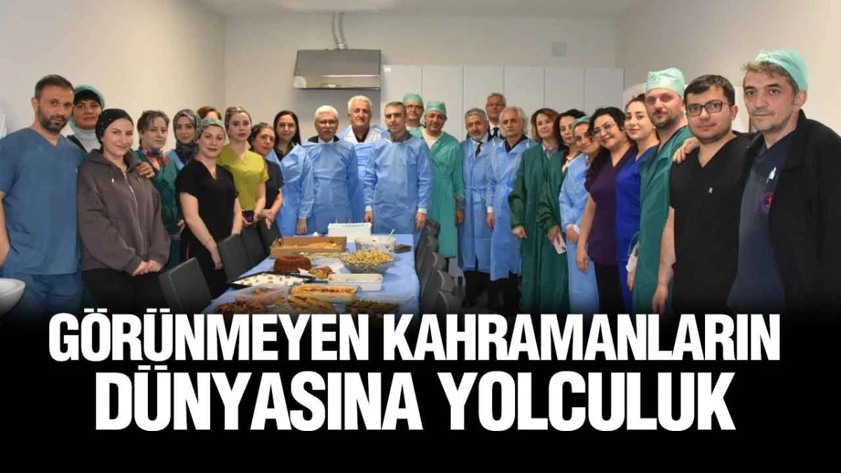 OM&Uuml;&rsquo;de Sterilizasyon &Uuml;nitesi kapılarını a&ccedil;tı