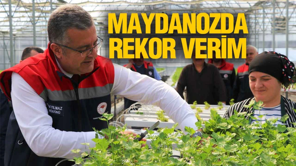 Samsun &Ccedil;arşamba&rsquo;da Topraksız Tarım Başarısı