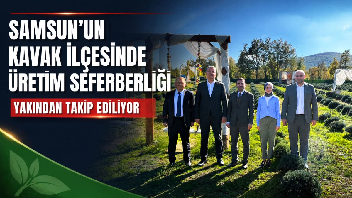 Samsun Kavak&rsquo;ta Lavanta &Uuml;retimi ve Sanayi Tesisine Yakın Takip