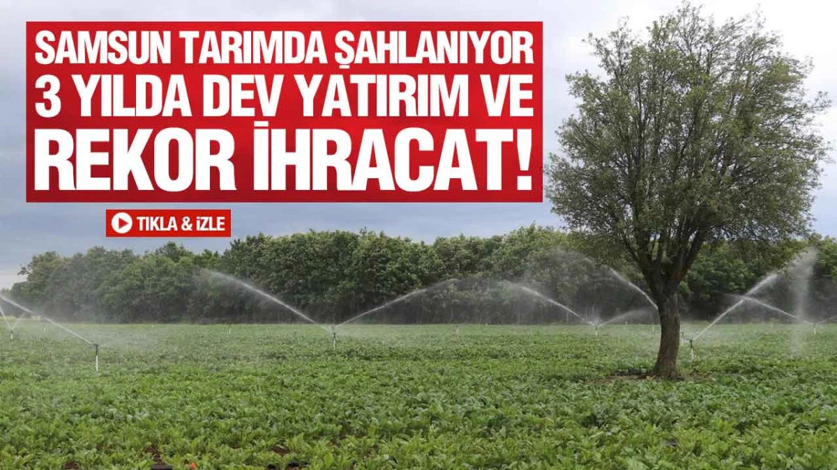 Samsun Tarımına 2,33 Milyar TL'lik Can Suyu! Valilik Dev Raporu A&ccedil;ıkladı