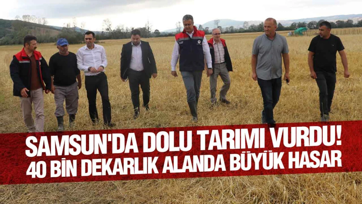 Samsun'da Dolu Felaketi! &Uuml;&ccedil; İl&ccedil;ede Hasar Tespit Seferberliği
