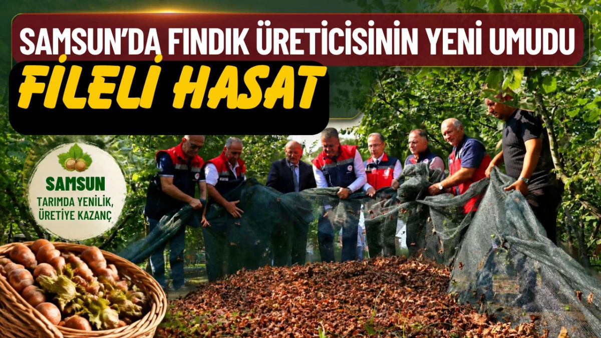 Samsun&rsquo;da Fındık Hasadında Ezber Bozan Sistem: 60 İş&ccedil;i Yerine 15 İş&ccedil;i