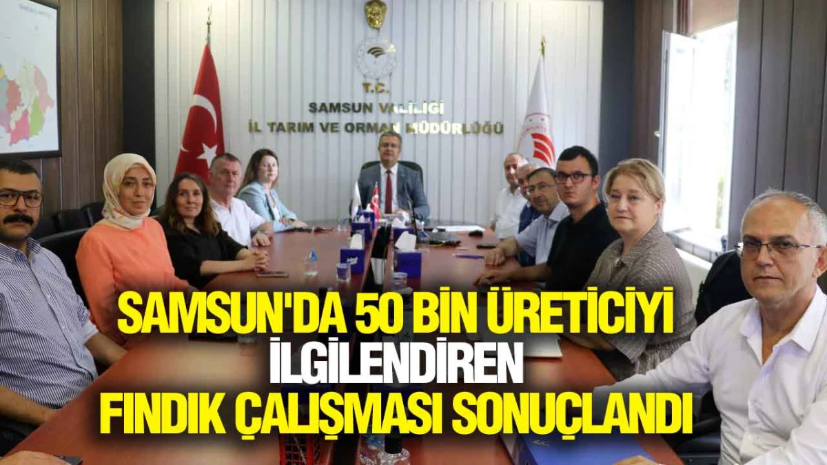 Samsun'da Fındık Rekoltesi İ&ccedil;in Kritik S&uuml;re&ccedil; Tamamlandı