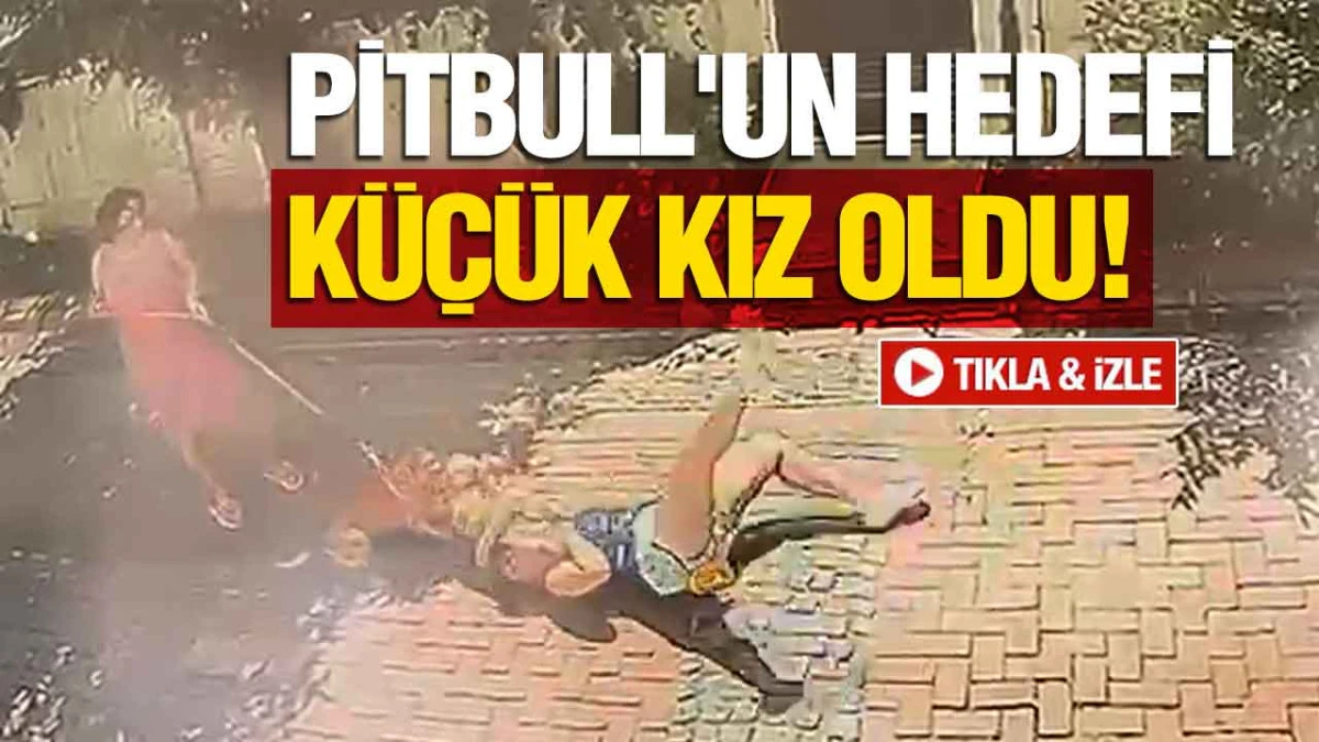 Samsun'da Pitbull Dehşeti! Site Bah&ccedil;esinde K&uuml;&ccedil;&uuml;k Kıza Saldırdı