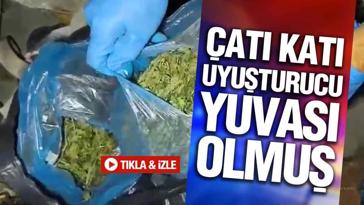 Samsun’da Uyuşturucu Ticareti Operasyonu