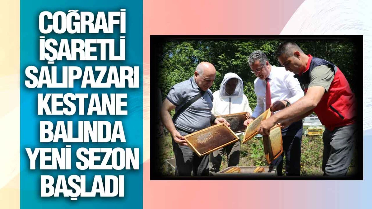 Samsun'un Tescilli Lezzeti Salıpazarı Kestane Balında Hasat Zamanı