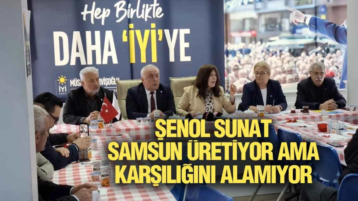 Şenol Sunat, &lsquo;Samsun&rsquo;a Ayrılan B&uuml;t&ccedil;e Ger&ccedil;ekleri Yansıtmıyor&rsquo;