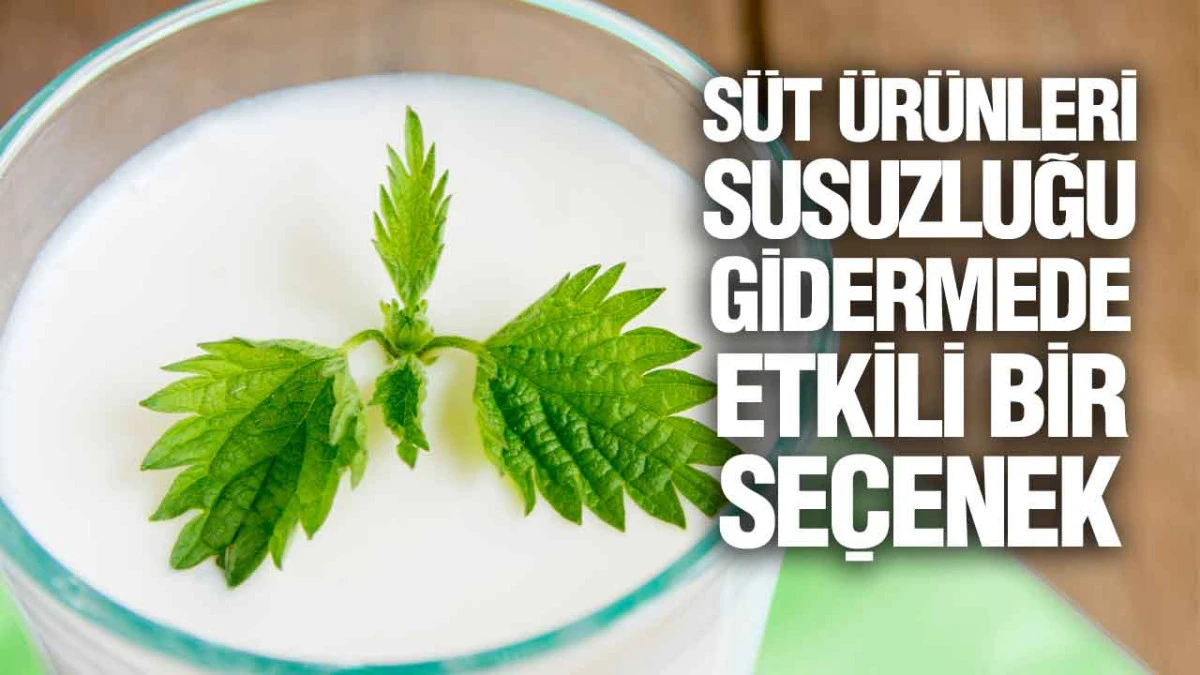 S&uuml;t &Uuml;r&uuml;nleri, Susuzluğu Gidermede Etkili Bir Se&ccedil;enek
