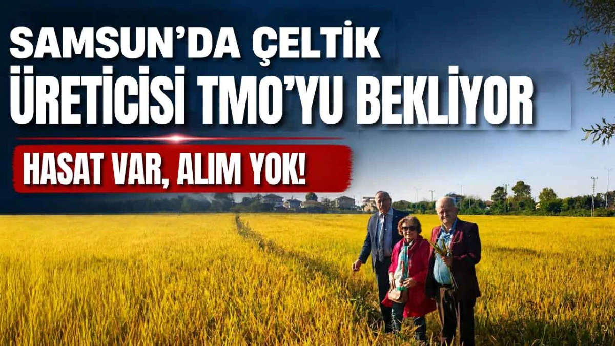 Terme&rsquo;de &Ccedil;ift&ccedil;inin &Ccedil;eltik İsyanı: &lsquo;&Uuml;r&uuml;n&uuml;m&uuml;z R&ouml;morklarda Bekliyor&rsquo;