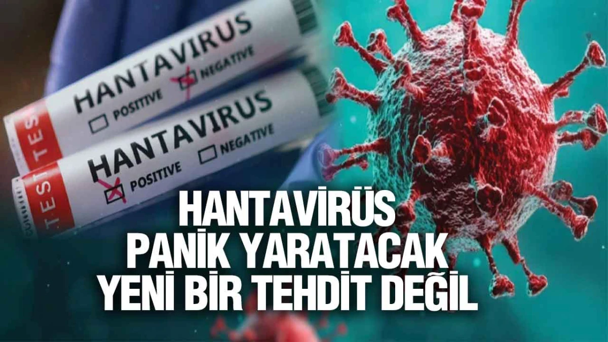 T&uuml;rkiye&rsquo;de her yıl ortalama 19 Hantavir&uuml;s vakası g&ouml;r&uuml;l&uuml;yor