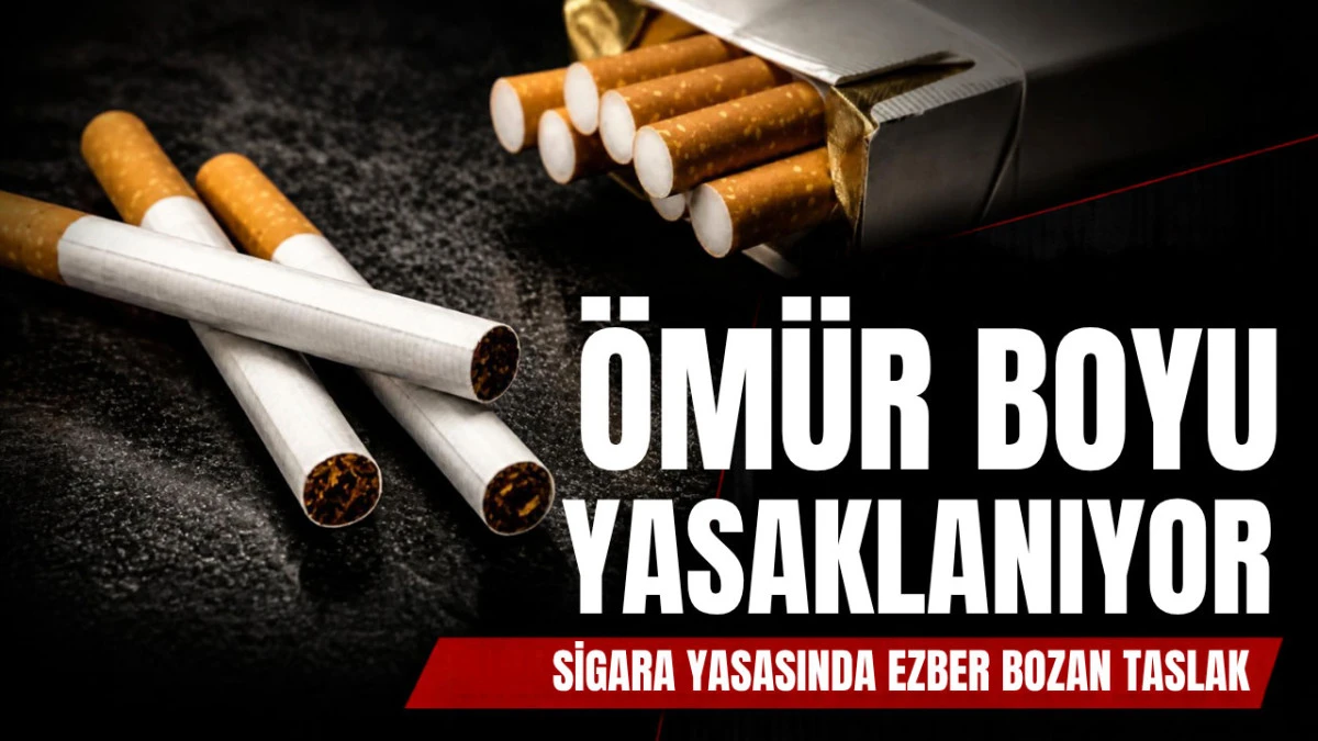 T&uuml;rkiye&rsquo;de Sigara İ&ccedil;in Tarihi D&uuml;zenleme: 2015 Sonrası Doğanlara Yasak