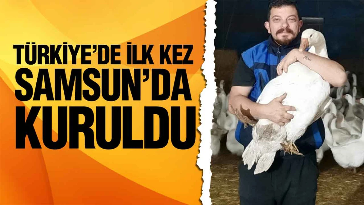 T&uuml;rkiye&rsquo;nin İlk Kaz Kooperatifi Samsun&rsquo;da Kuruldu