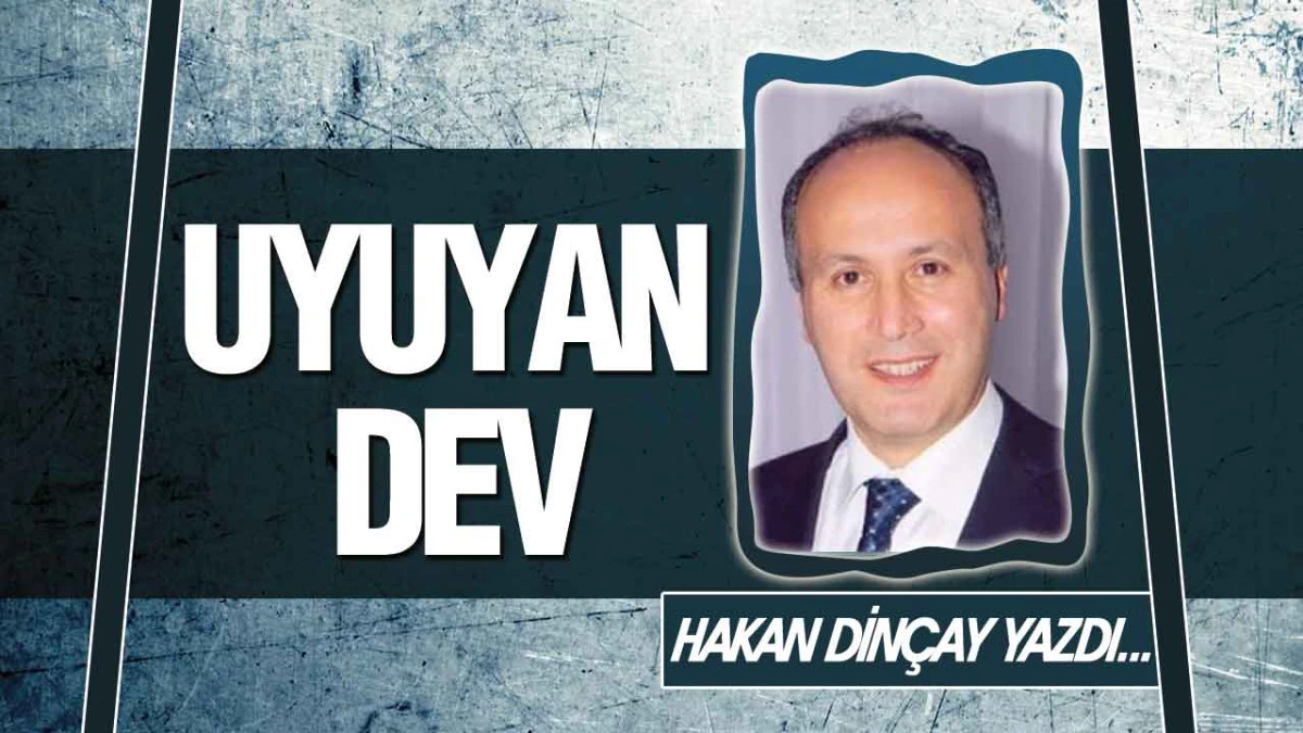 Uyuyan Dev
