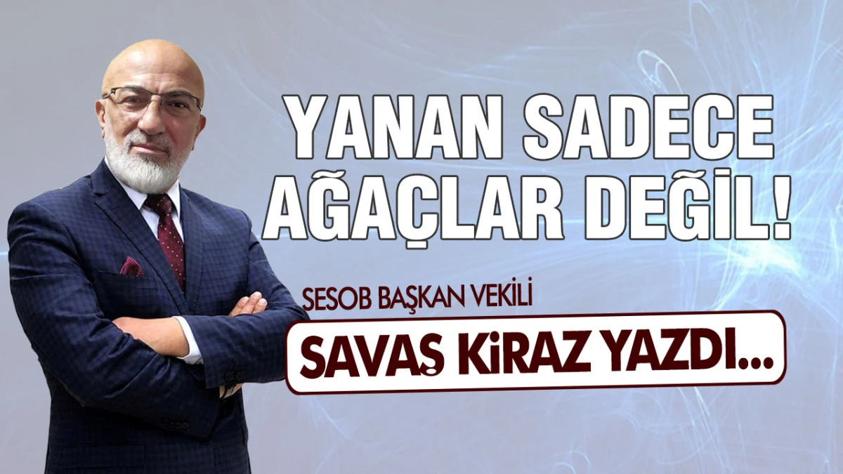 Yanan Sadece Ağa&ccedil;lar Değil!