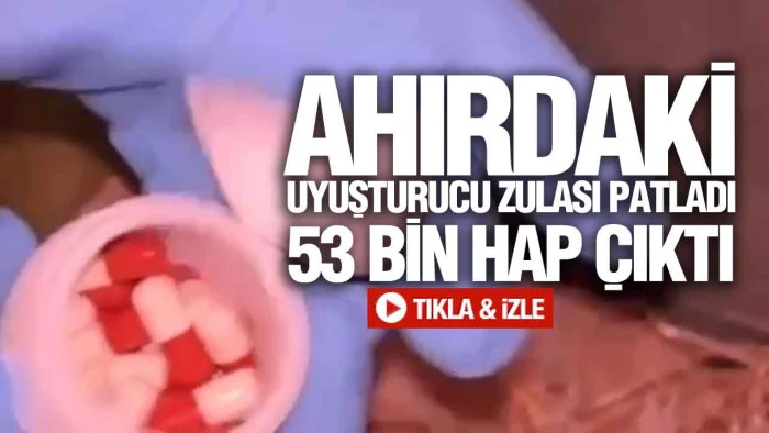 Samsun’da Ahır Operasyonu, Arı Kovanlarının Arkasından 53 Bin Hap Çıktı