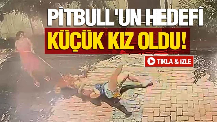 Samsun'da Pitbull Dehşeti! Site Bah&ccedil;esinde K&uuml;&ccedil;&uuml;k Kıza Saldırdı